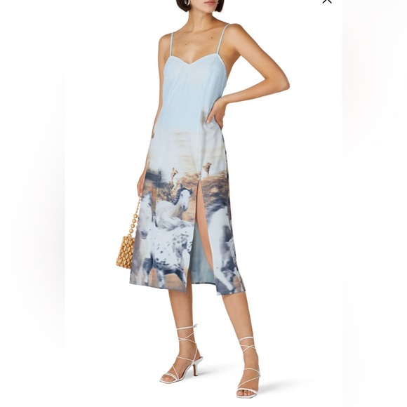 Baja East Dresses & Skirts - BAJA EAST Horse Slip Dress